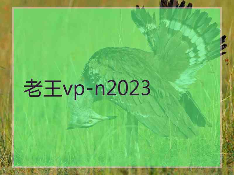 老王vp-n2023