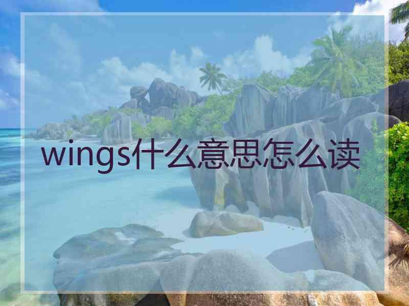 wings什么意思怎么读