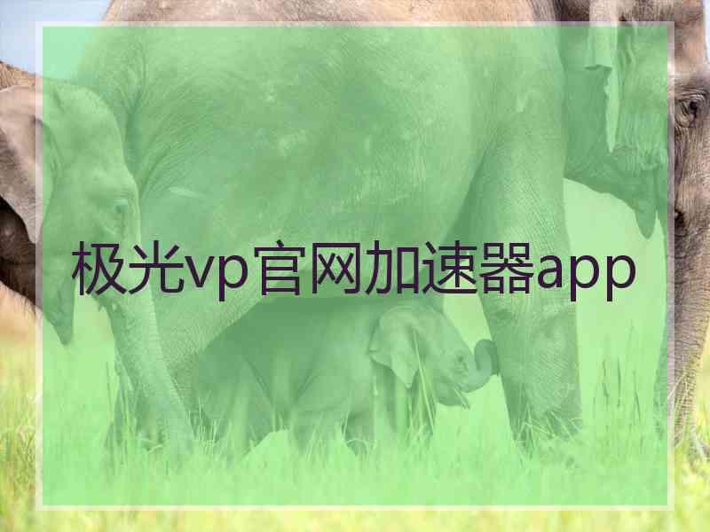 极光vp官网加速器app