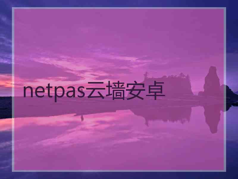 netpas云墙安卓