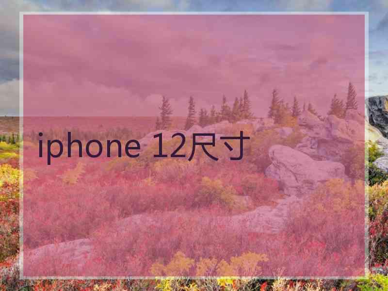 iphone 12尺寸