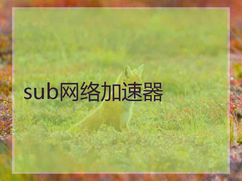 sub网络加速器