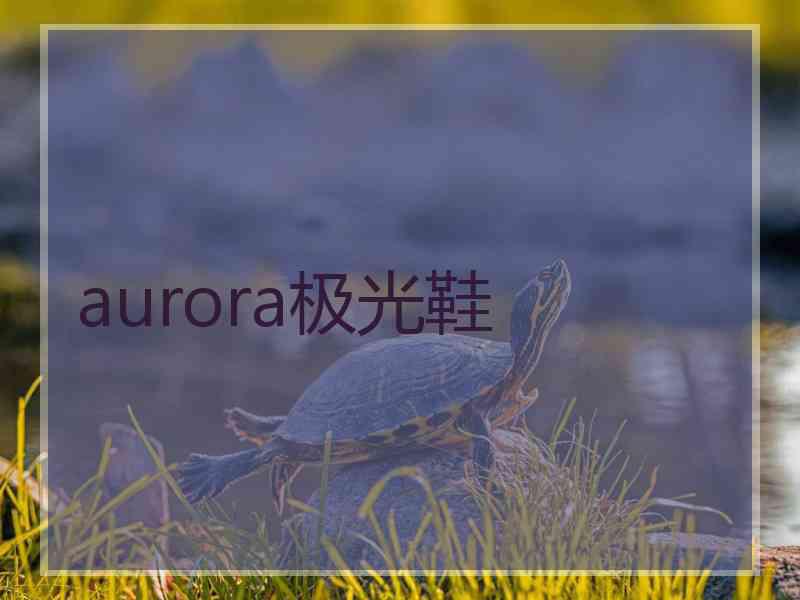 aurora极光鞋