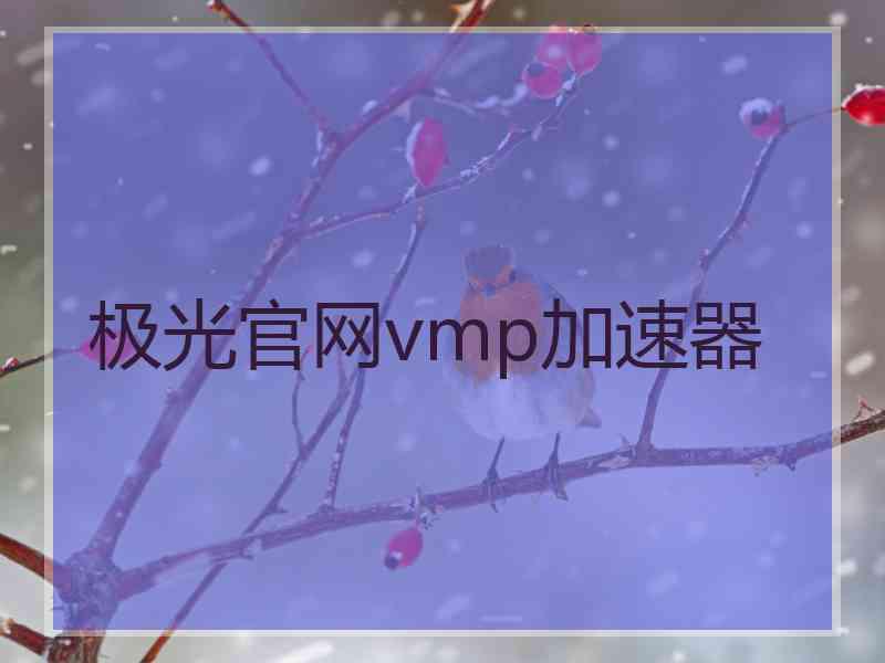 极光官网vmp加速器