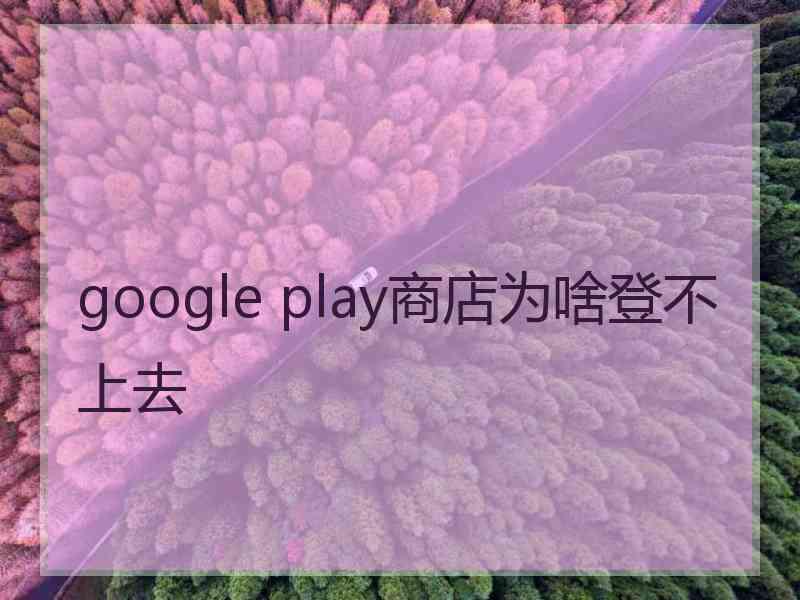 google play商店为啥登不上去