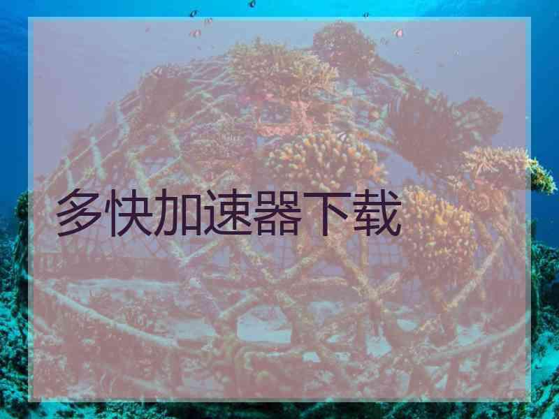 多快加速器下载