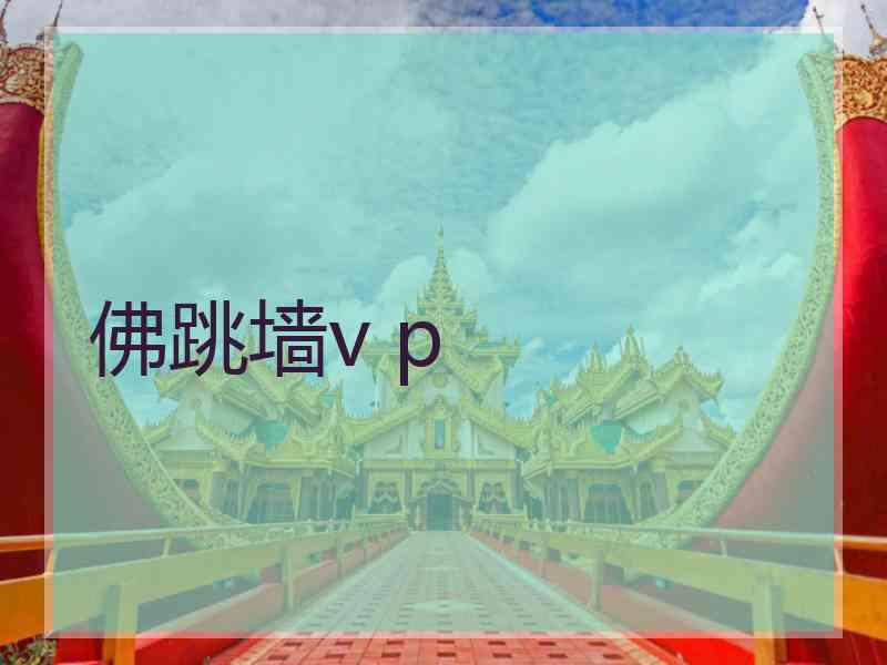 佛跳墙v p