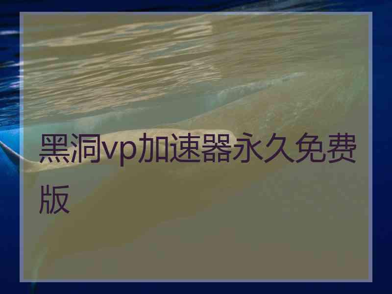 黑洞vp加速器永久免费版