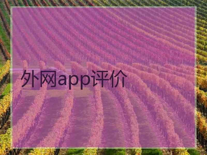 外网app评价