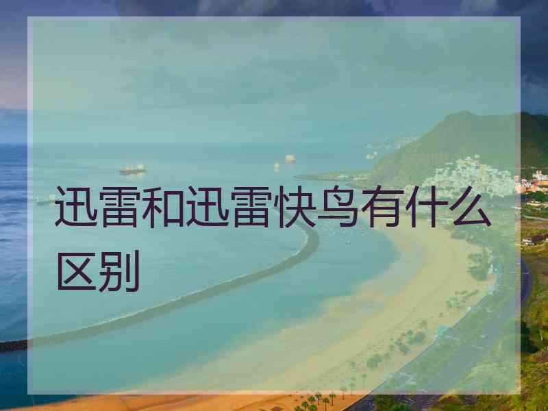 迅雷和迅雷快鸟有什么区别