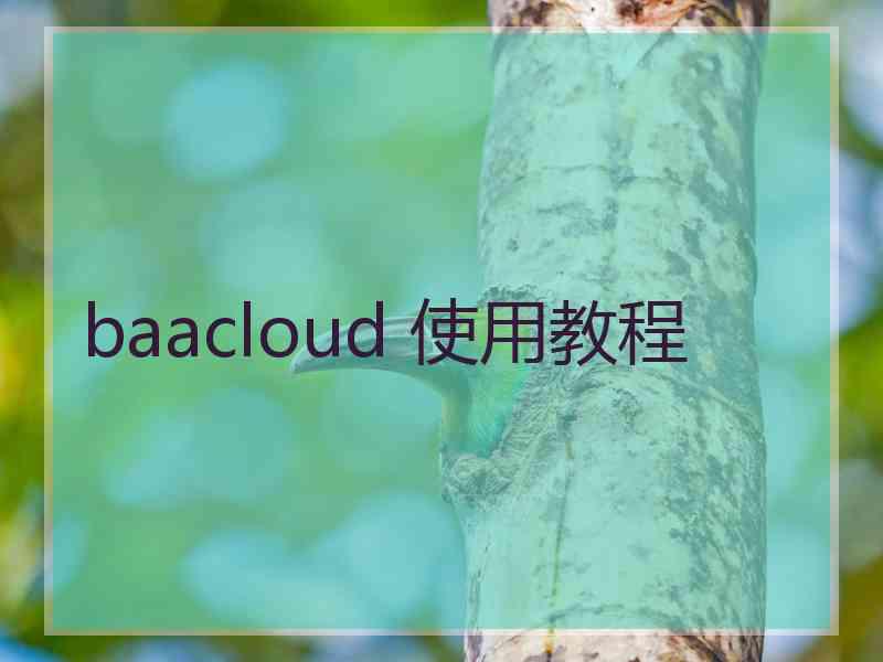 baacloud 使用教程