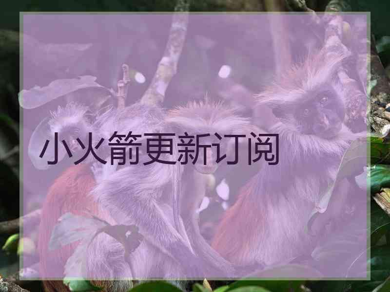 小火箭更新订阅