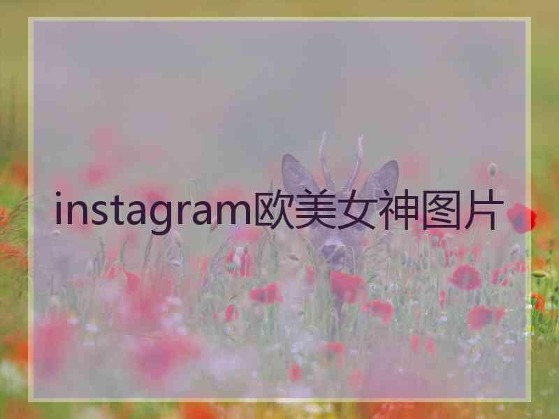 instagram欧美女神图片