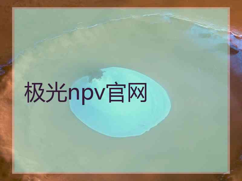 极光npv官网