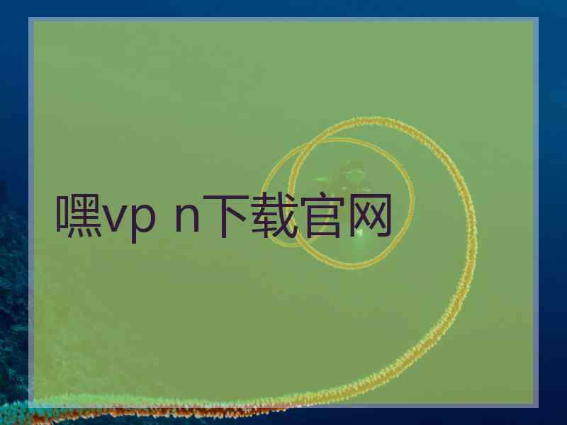 嘿vp n下载官网