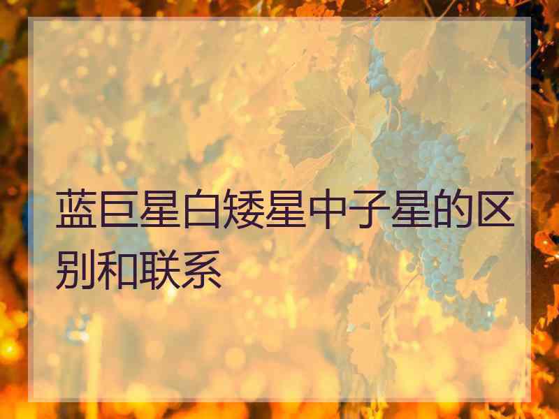 蓝巨星白矮星中子星的区别和联系