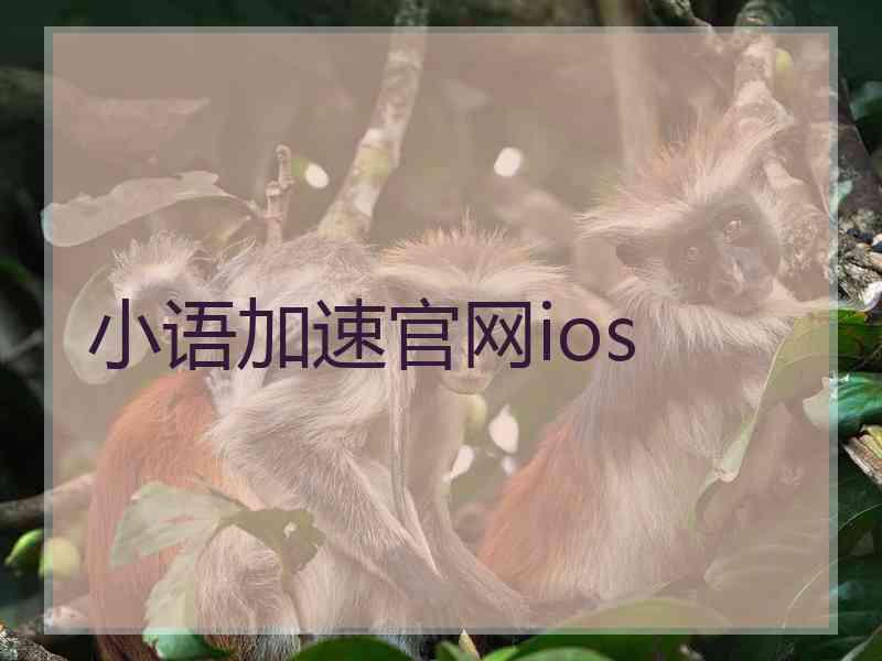 小语加速官网ios