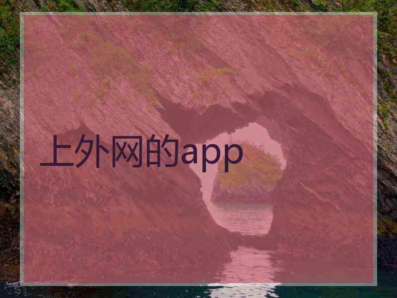 上外网的app