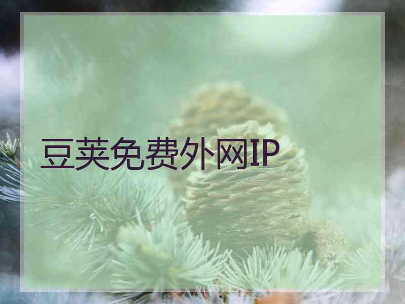 豆荚免费外网IP