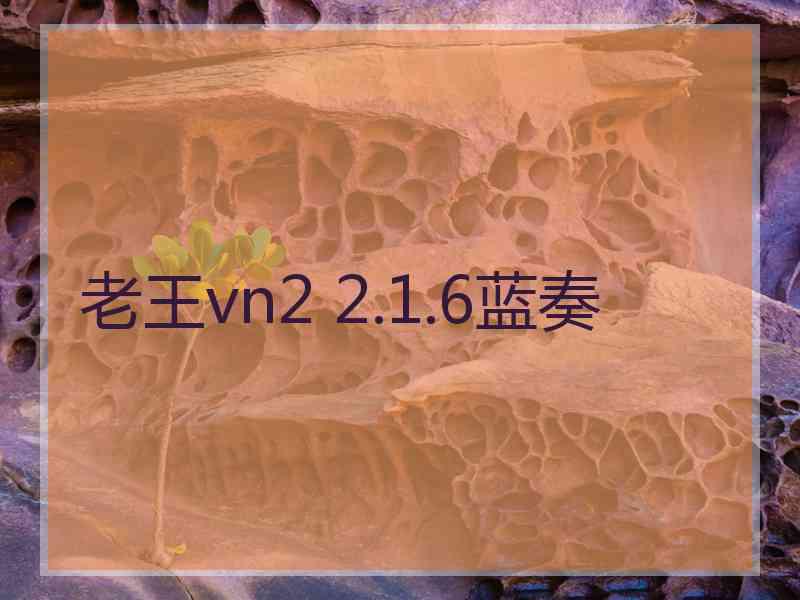 老王vn2 2.1.6蓝奏