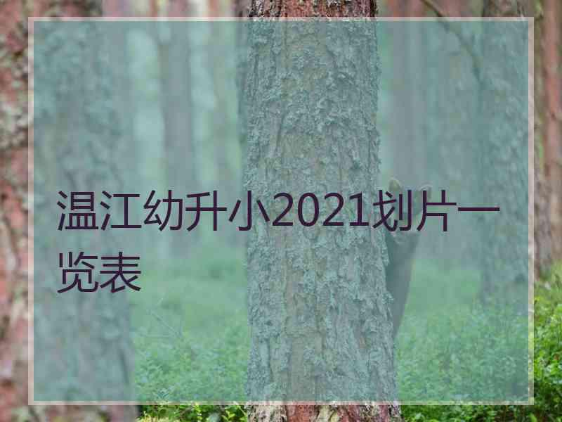 温江幼升小2021划片一览表