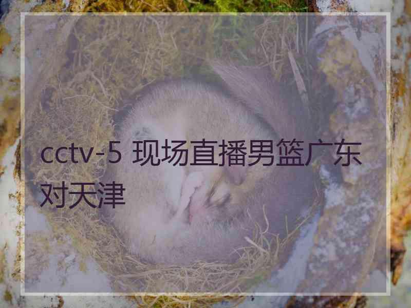 cctv-5 现场直播男篮广东对天津