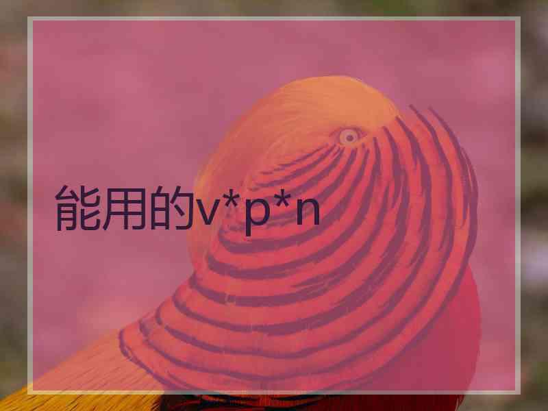 能用的v*p*n