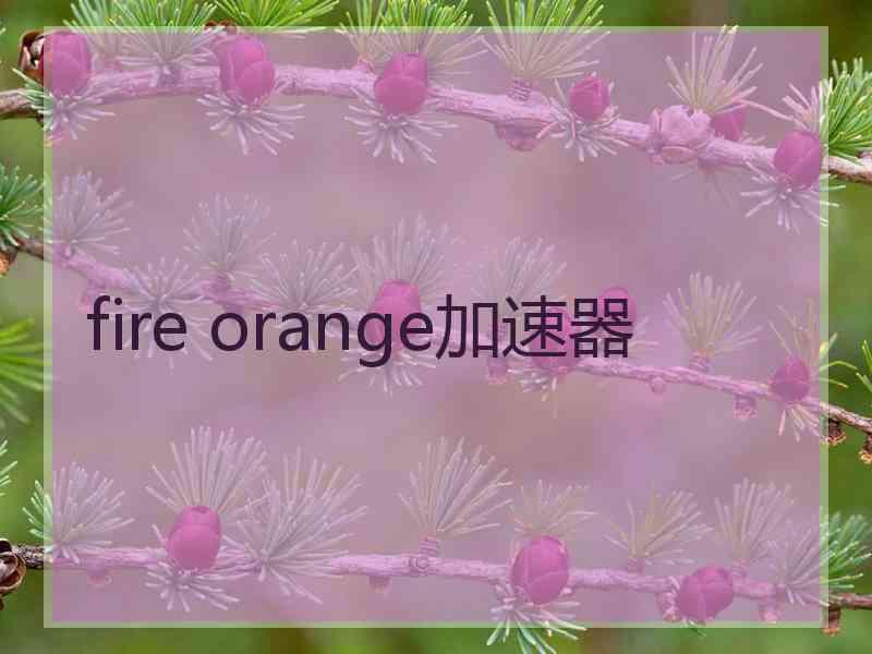 fire orange加速器