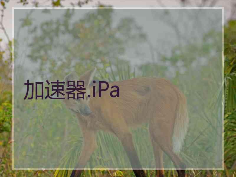 加速器.iPa