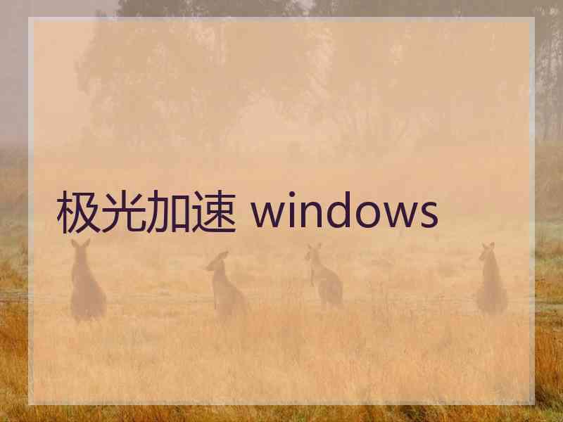 极光加速 windows