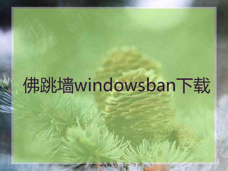 佛跳墙windowsban下载