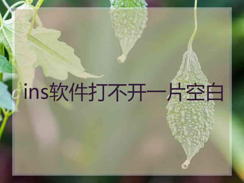 ins软件打不开一片空白