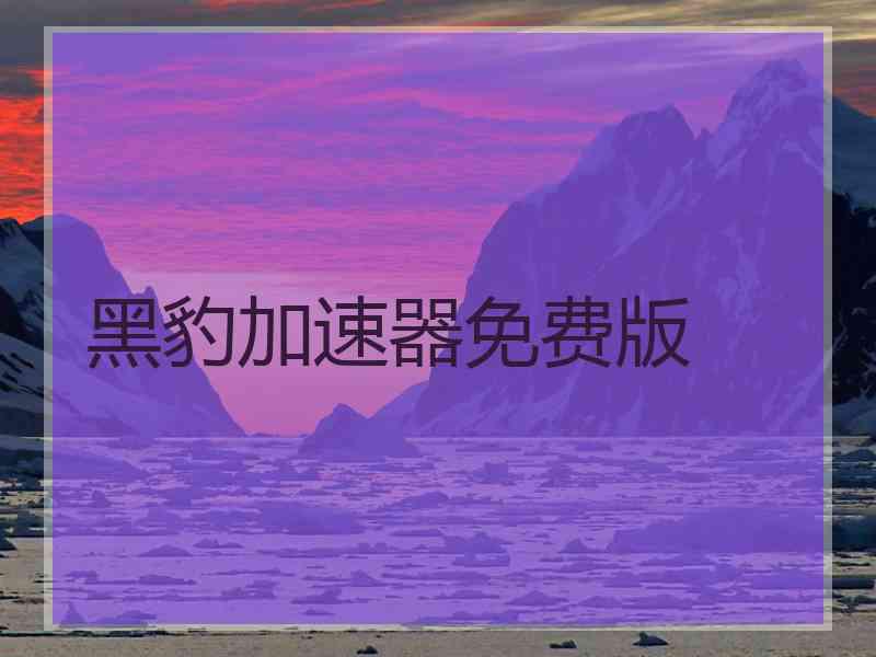 黑豹加速器免费版