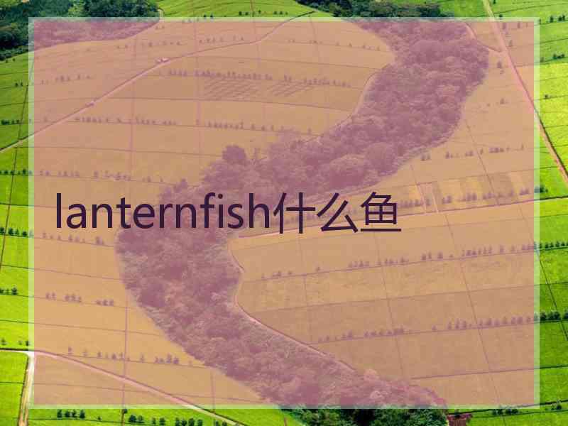 lanternfish什么鱼