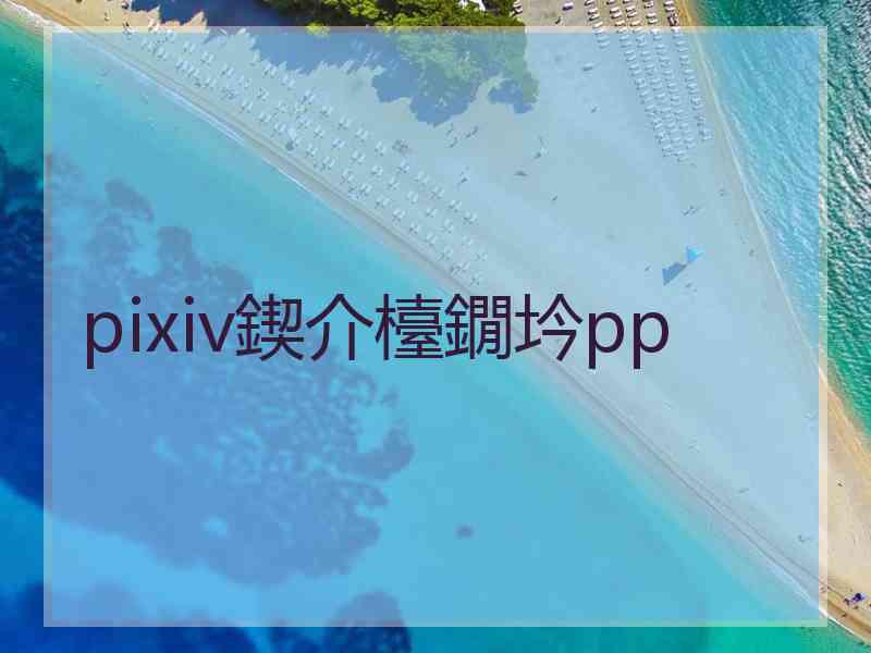 pixiv鍥介檯鐗坅pp