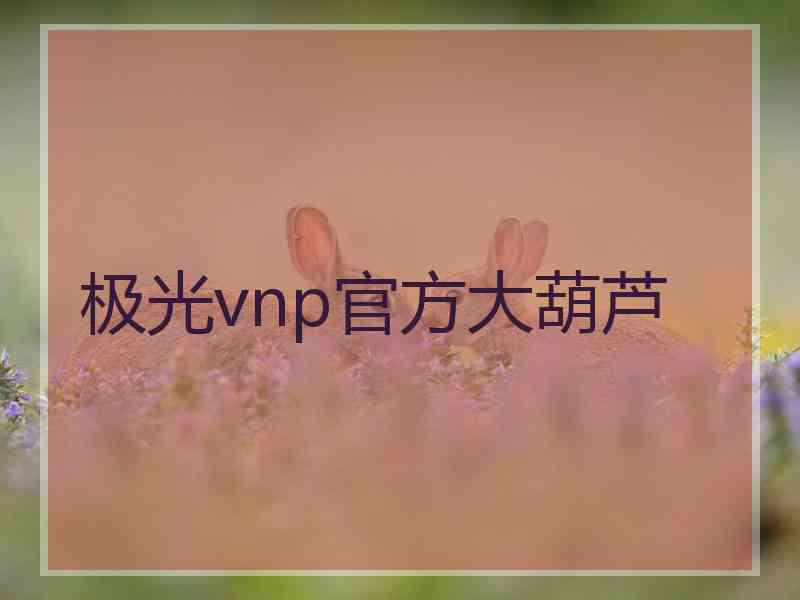 极光vnp官方大葫芦