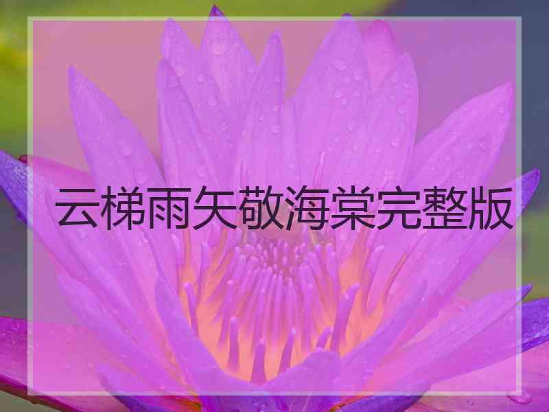 云梯雨矢敬海棠完整版