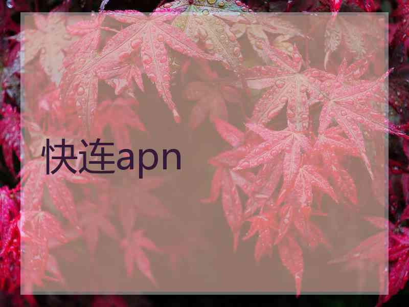 快连apn