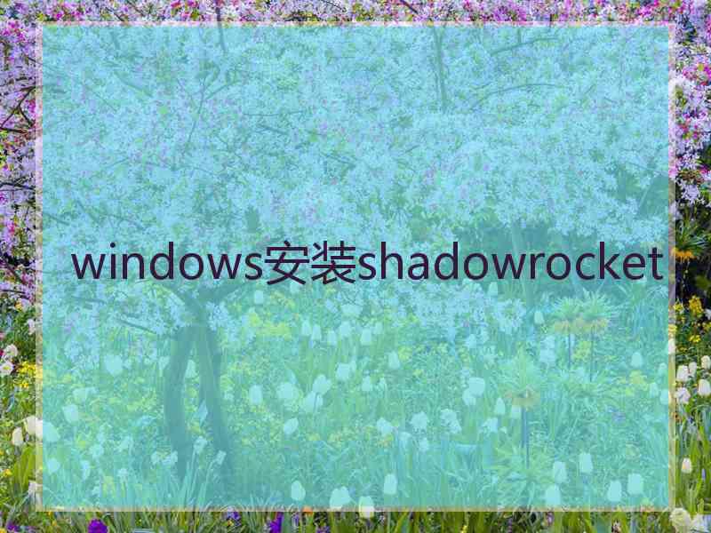 windows安装shadowrocket