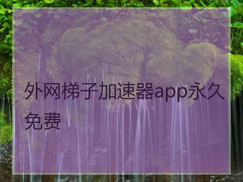 外网梯子加速器app永久免费