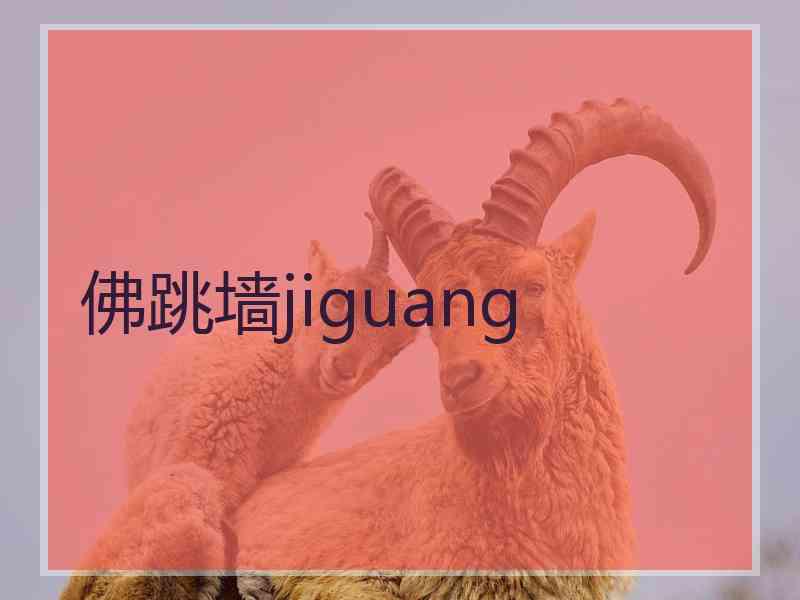 佛跳墙jiguang