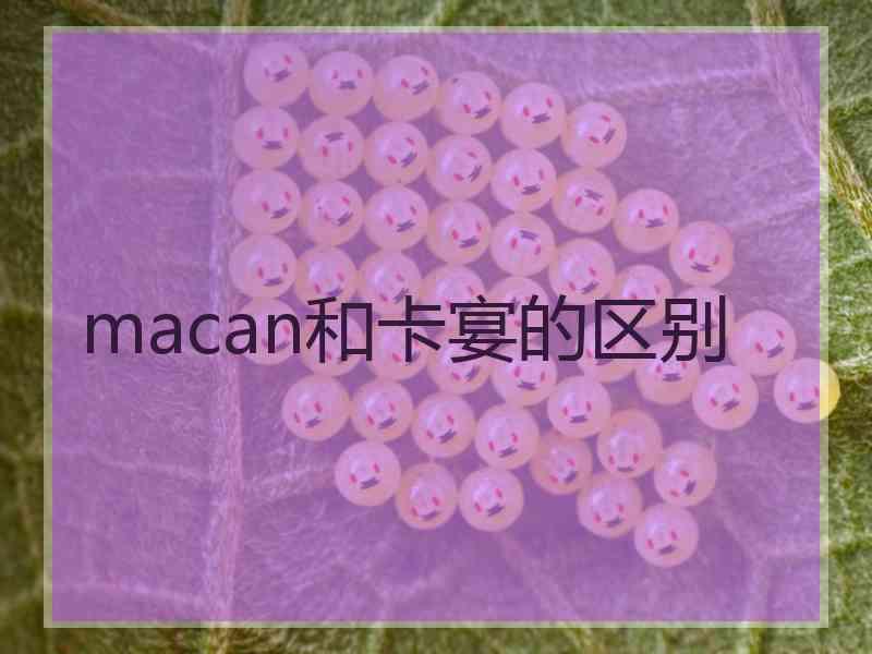 macan和卡宴的区别