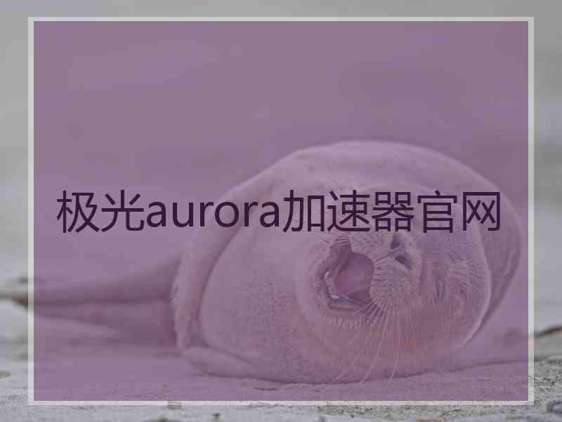 极光aurora加速器官网