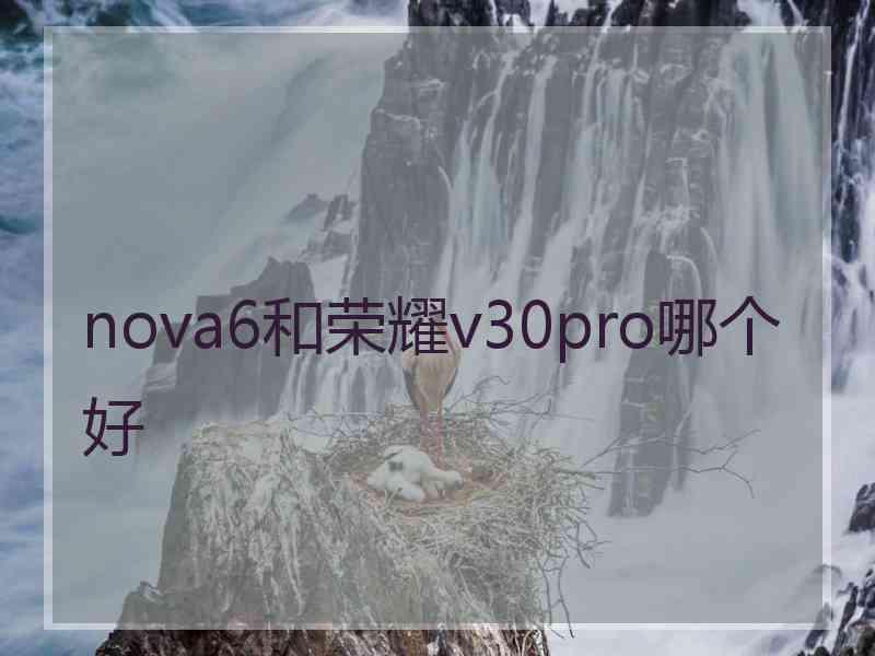 nova6和荣耀v30pro哪个好