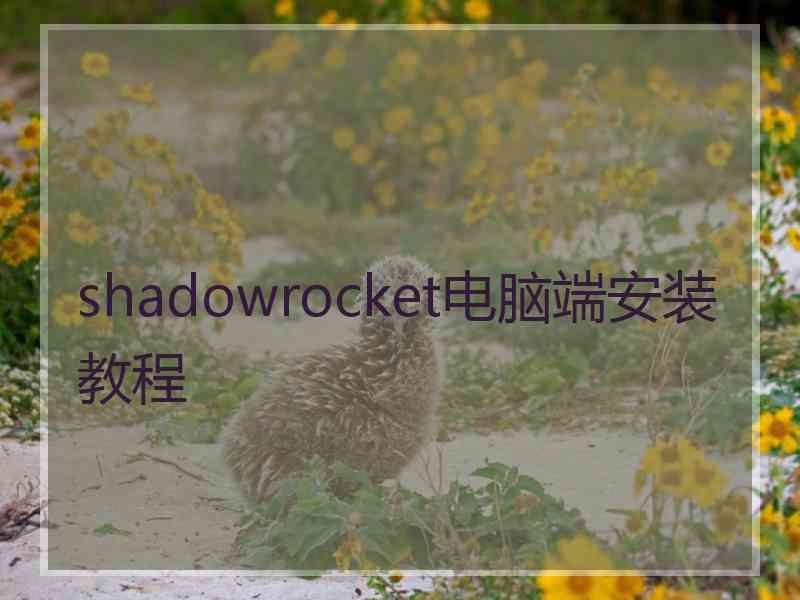 shadowrocket电脑端安装教程