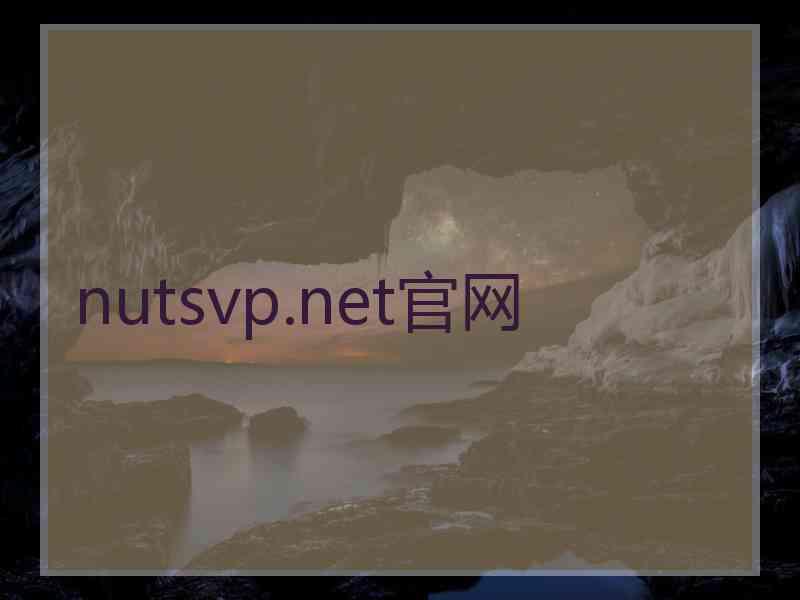 nutsvp.net官网