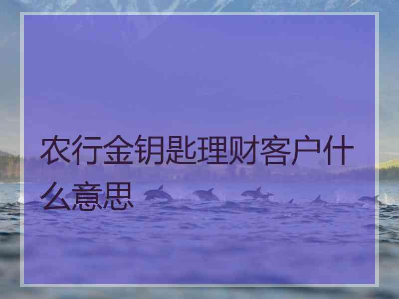 农行金钥匙理财客户什么意思