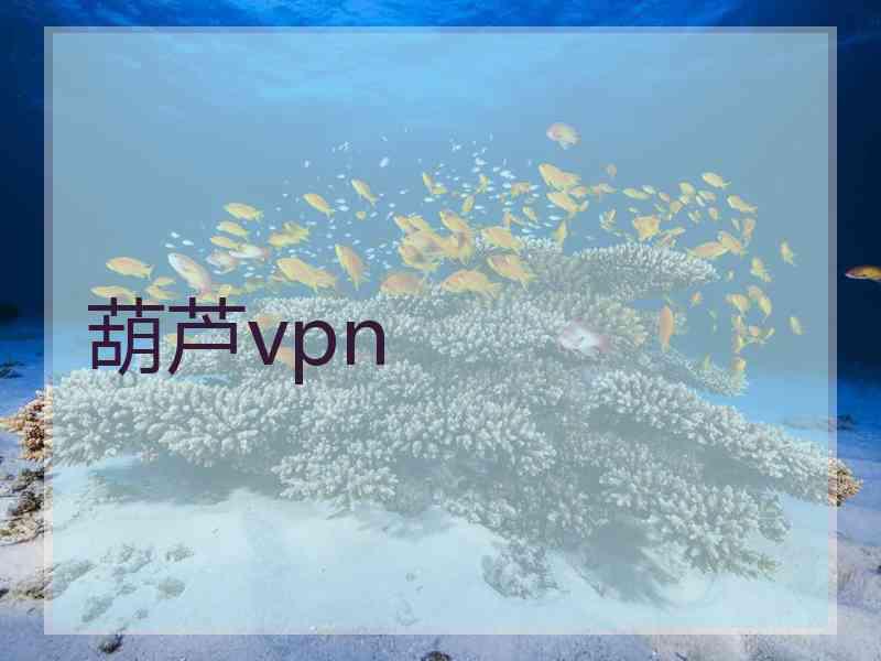 葫芦vpn