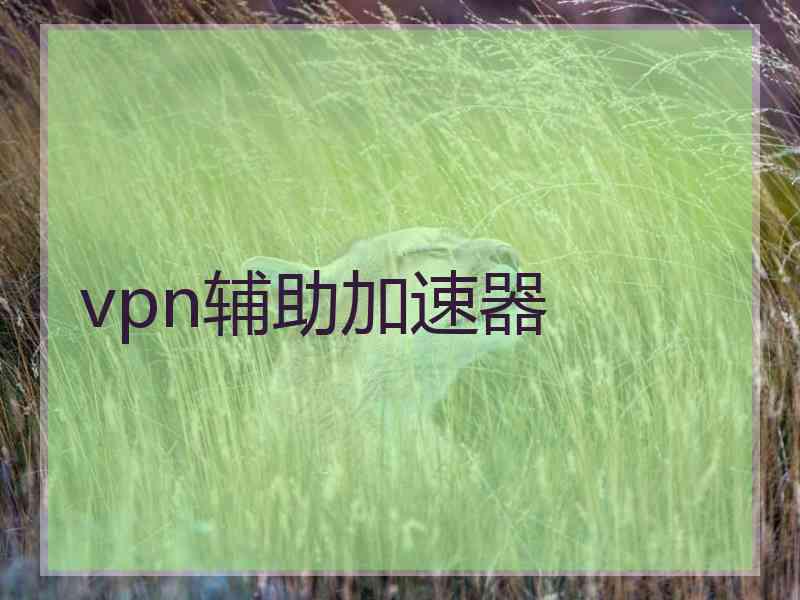 vpn辅助加速器