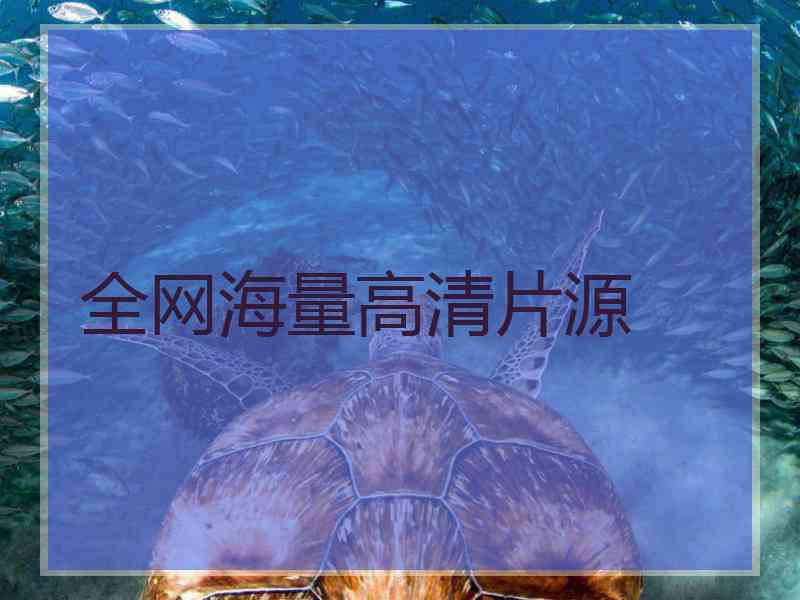 全网海量高清片源